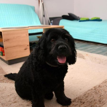 Apartament Gornicza W Kowarach コバリ エクステリア 写真